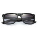 Justin, Rubber Black (0RB4165   601/8G   55)