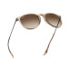 Erika, Shiny Transparent Brown, Brun Tonad (0RB4171 651413)