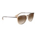 Erika, Shiny Transparent Brown, Brun Tonad (0RB4171 651413)