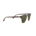 Solglasögon Clubmaster Mock Tortoise On Arista