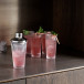 Pilastro cocktail shaker clear